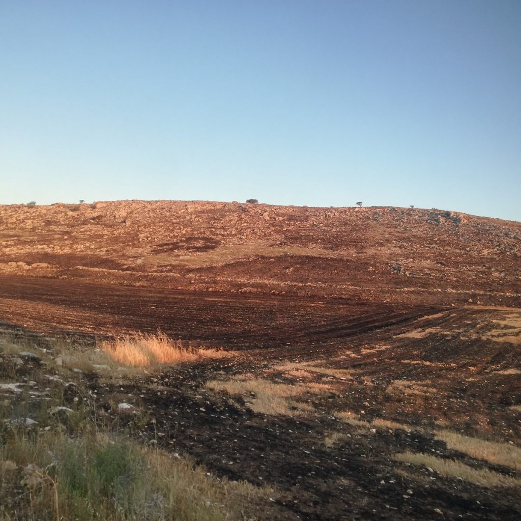 incendio murgia