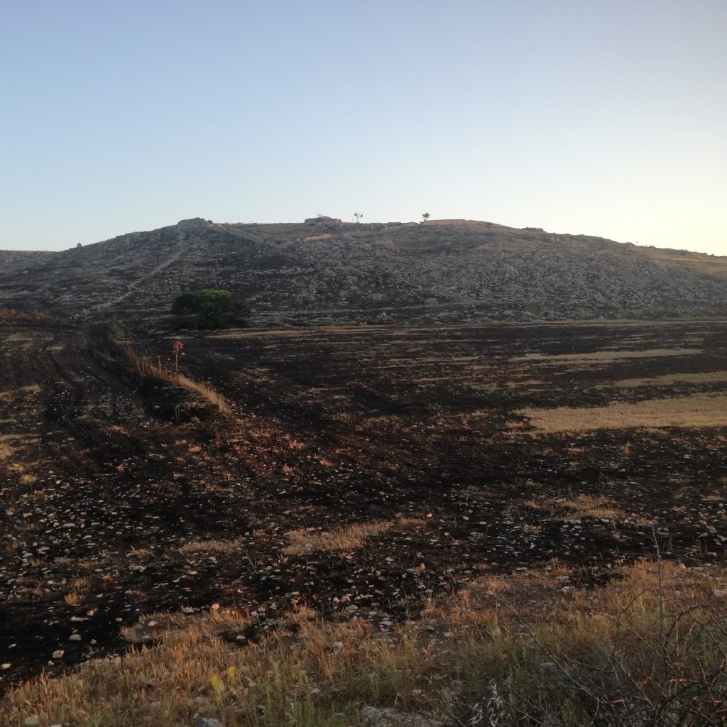 incendio murgia