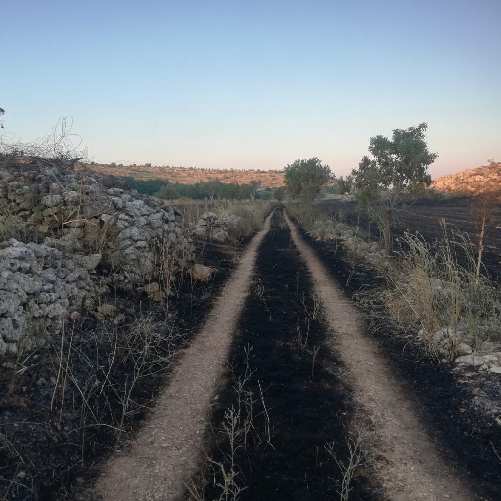 incendio murgia