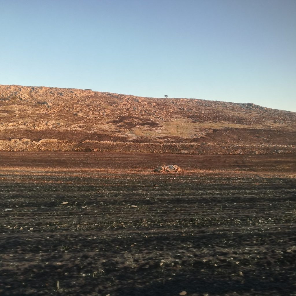 incendio murgia