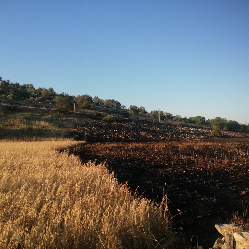 incendio murgia