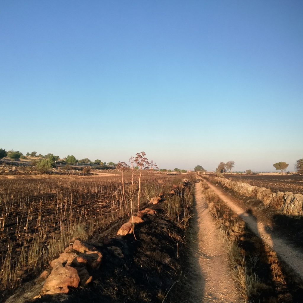 incendio murgia