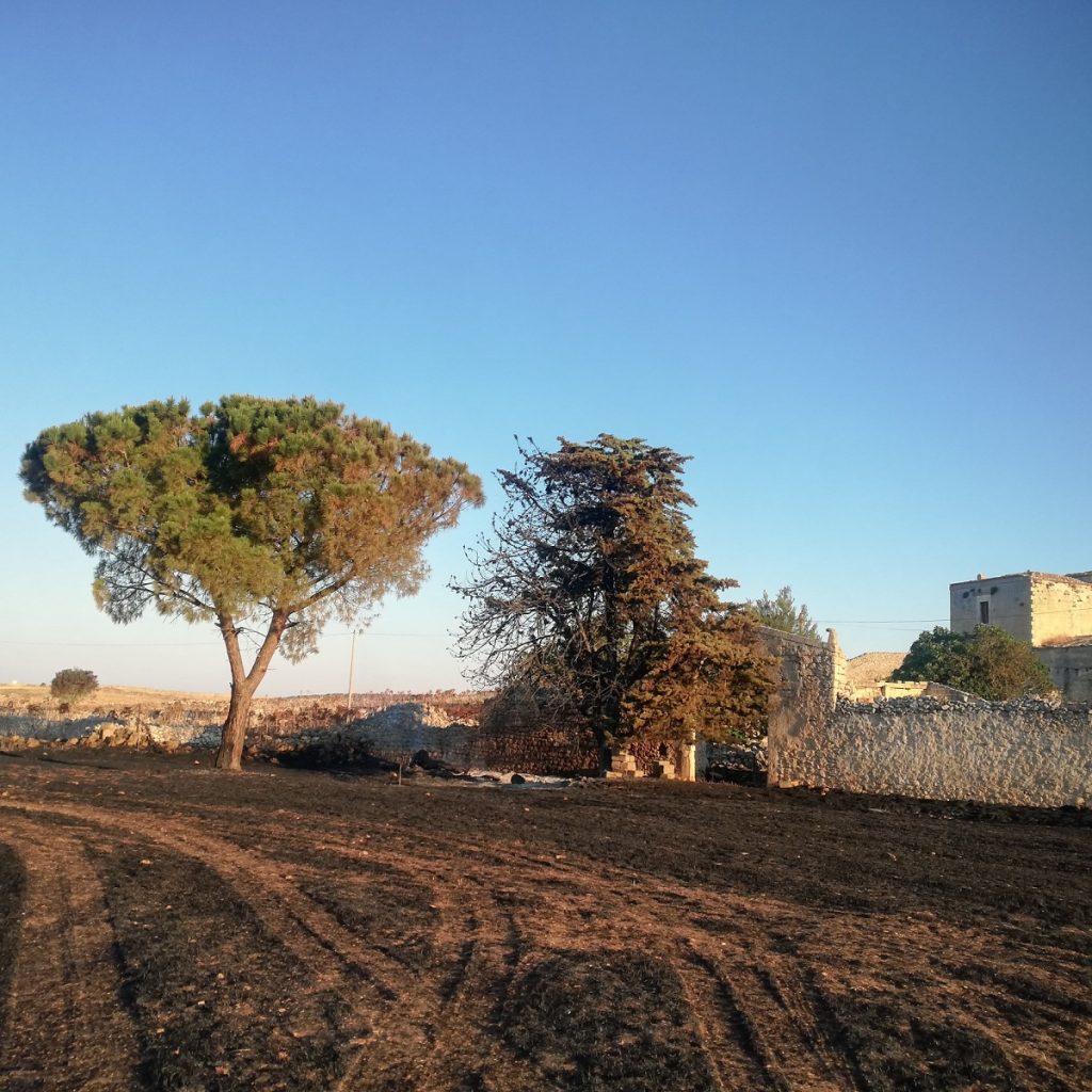 incendio murgia