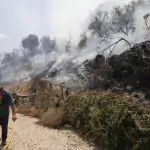 Incendi in Spagna: la lotta contro le fiamme prosegue tra Navarra e Castiglia e Leon | FOTO