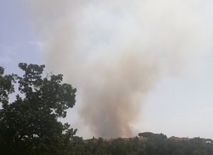 incendio roma oggi