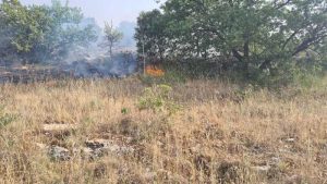 incendio toritto puglia