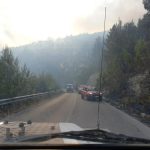 Incendio sul Gargano: in fiamme 20 ettari di macchia mediterranea | FOTO