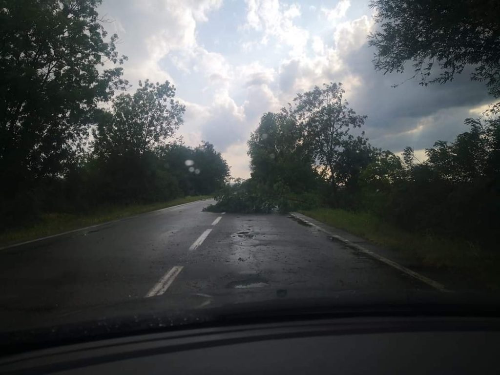 maltempo trino piemonte