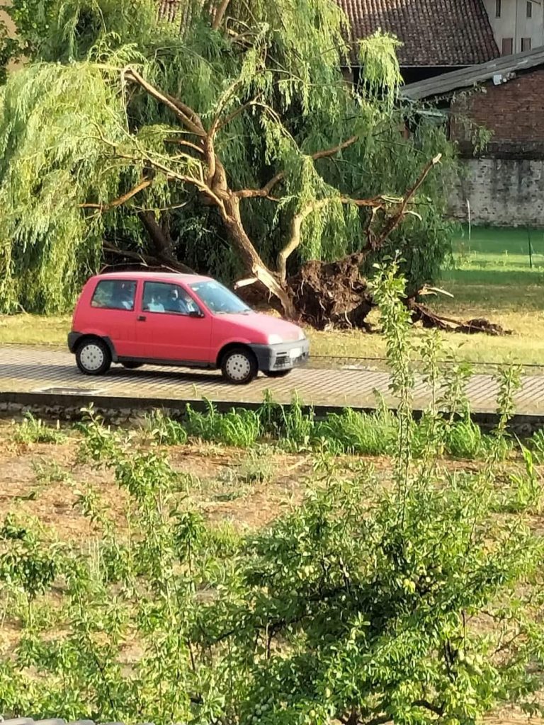 maltempo trino piemonte