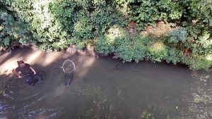 pesci canale alicorno padova