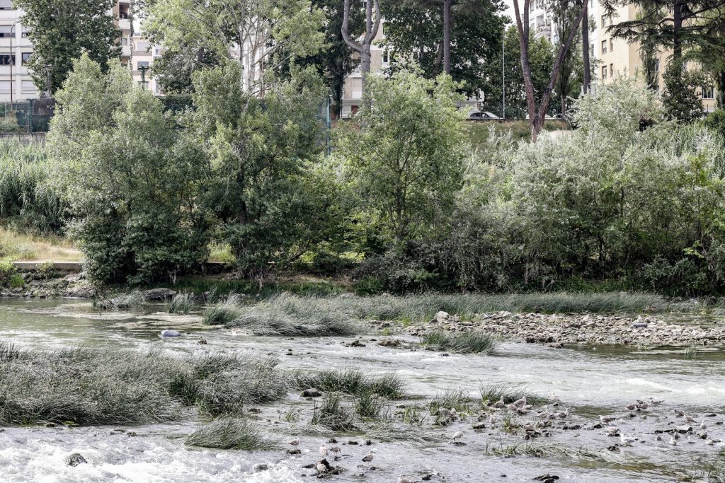 siccità fiume tevere
