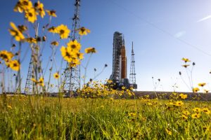 sls orion