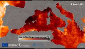 temperatura mediterraneo 19 giugno 2022