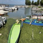 Siccità in Umbria: fiumi come rivoli e invasi dimezzati, il Trasimeno in sofferenza | FOTO