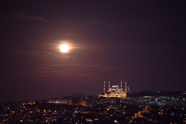 Istanbul, Turchia. Foto Shadati / Ansa
