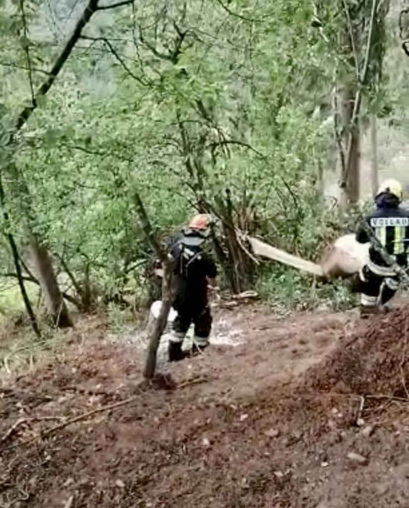 Forti raffiche di vento e fulmini hanno richiesto interventi per alberi e rami spezzati e piccoli incendi boschivi (1)