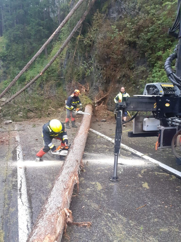 Forti raffiche di vento e fulmini hanno richiesto interventi per alberi e rami spezzati e piccoli incendi boschivi