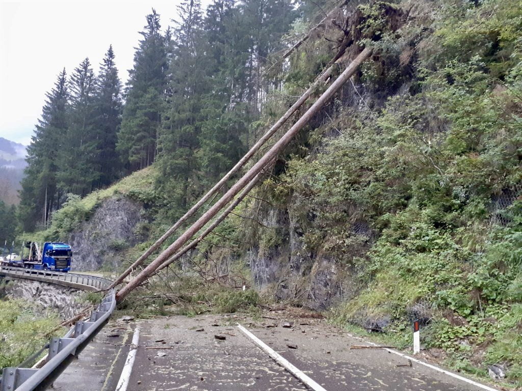 Forti raffiche di vento e fulmini hanno richiesto interventi per alberi e rami spezzati e piccoli incendi boschivi