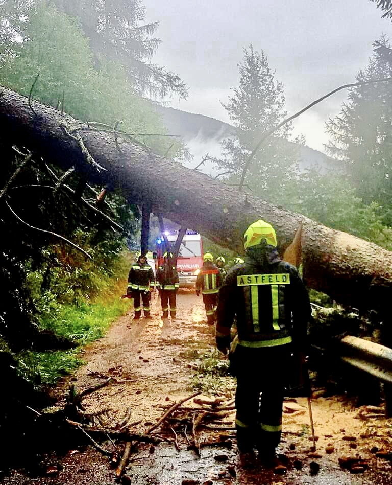 Forti raffiche di vento e fulmini hanno richiesto interventi per alberi e rami spezzati e piccoli incendi boschivi