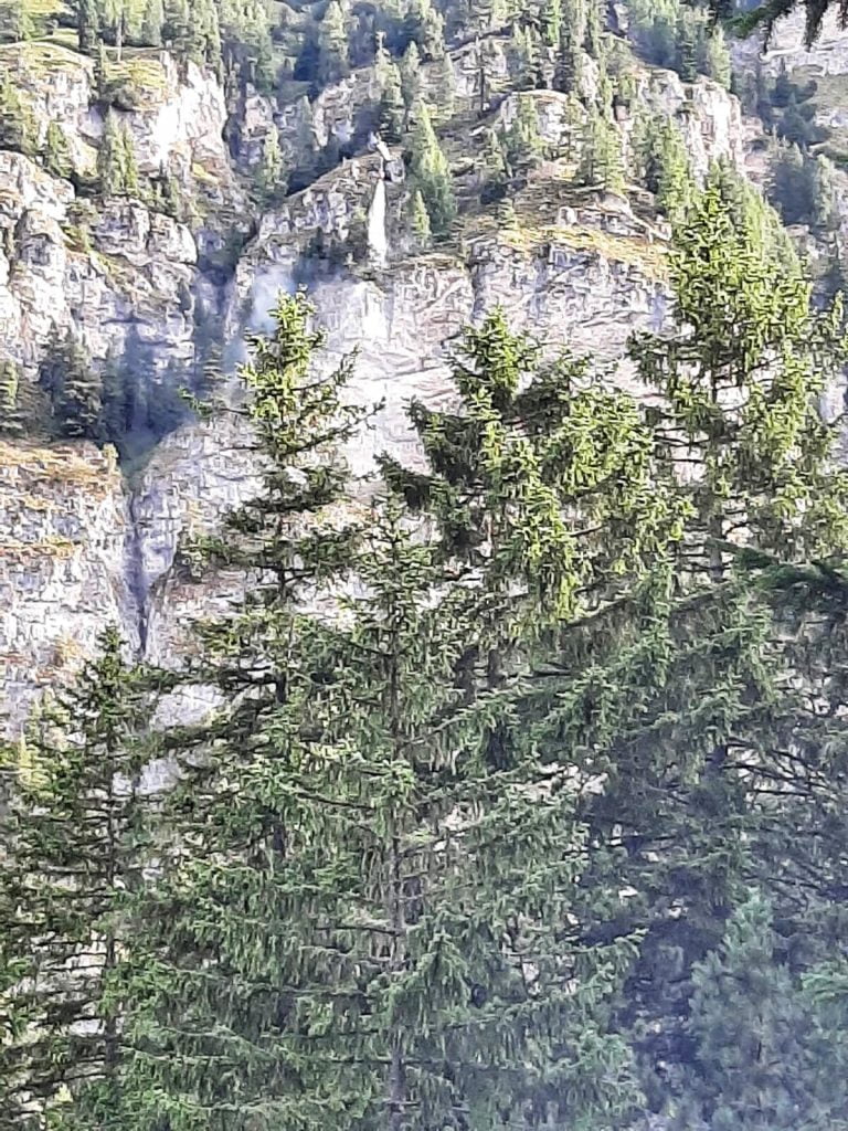 Fulmine innesca incendio boschivo a Tires