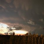 Maltempo Toscana: spaventosa tempesta di vento e fulmini a Firenze, allagamenti e grandinate nell’Aretino | FOTO e VIDEO