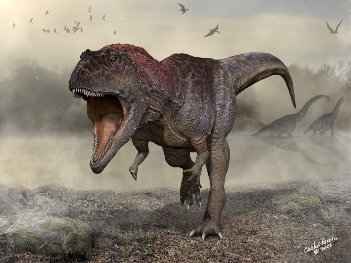 dinosauro argentina