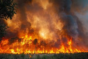 incendi francia