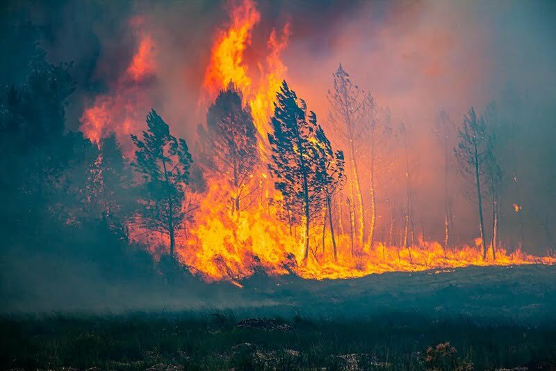 incendi francia
