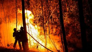 incendi francia