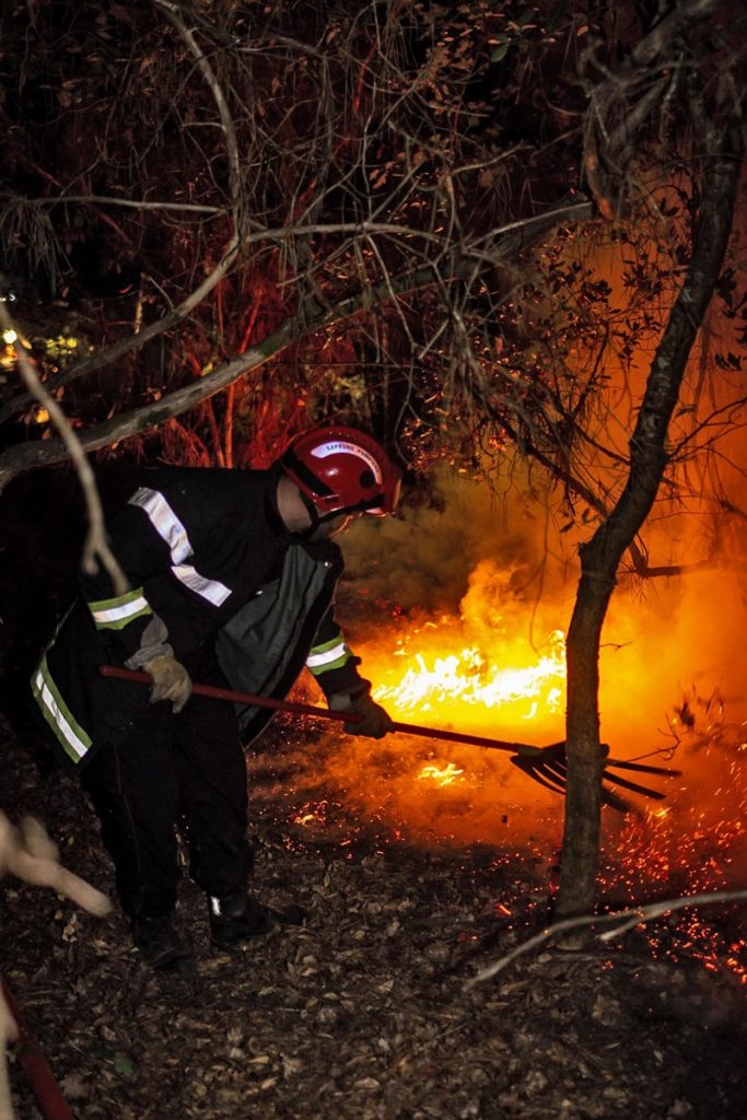 incendi francia