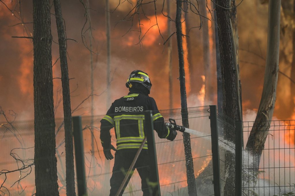 incendi portogallo
