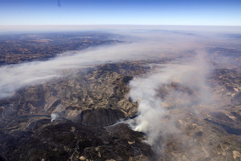 incendi portogallo