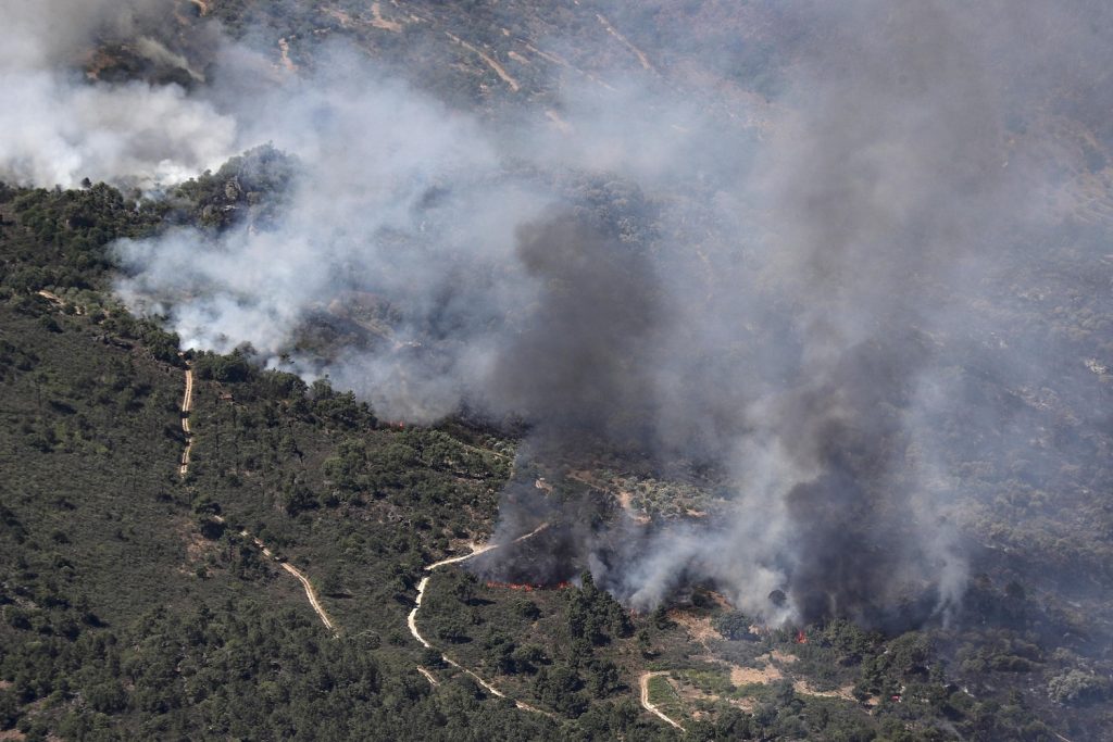 incendi portogallo