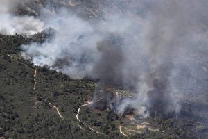 incendi portogallo