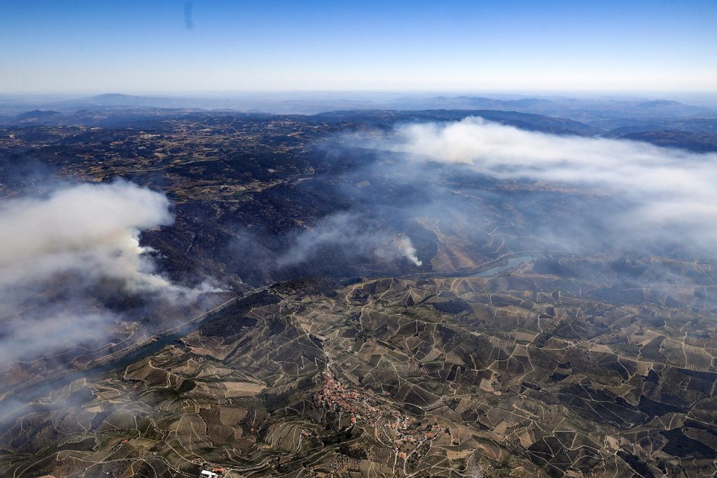 incendi portogallo