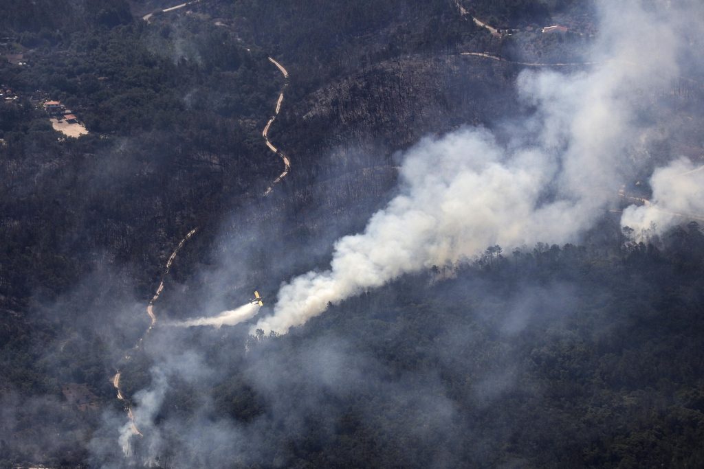incendi portogallo
