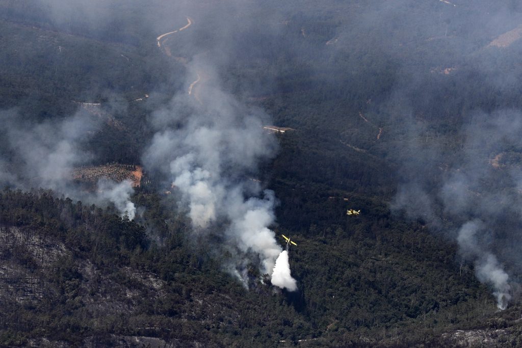 incendi portogallo