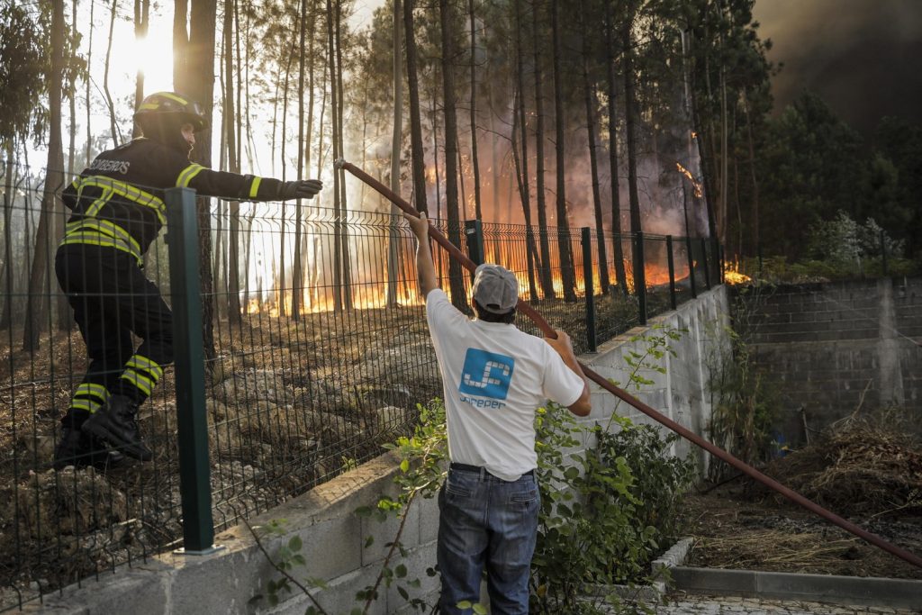 incendi portogallo