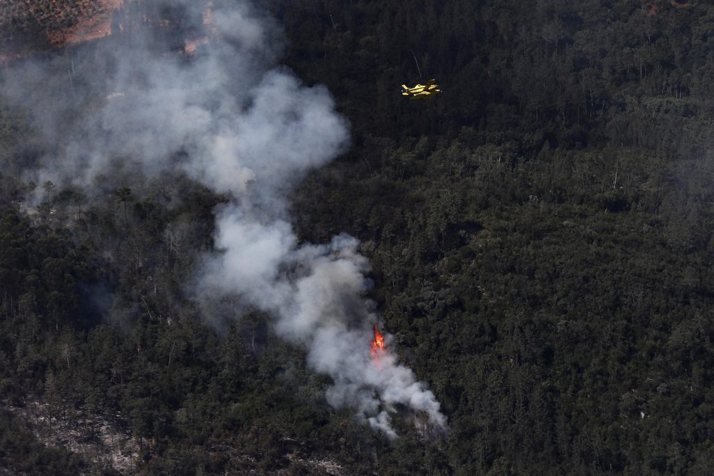 incendi portogallo