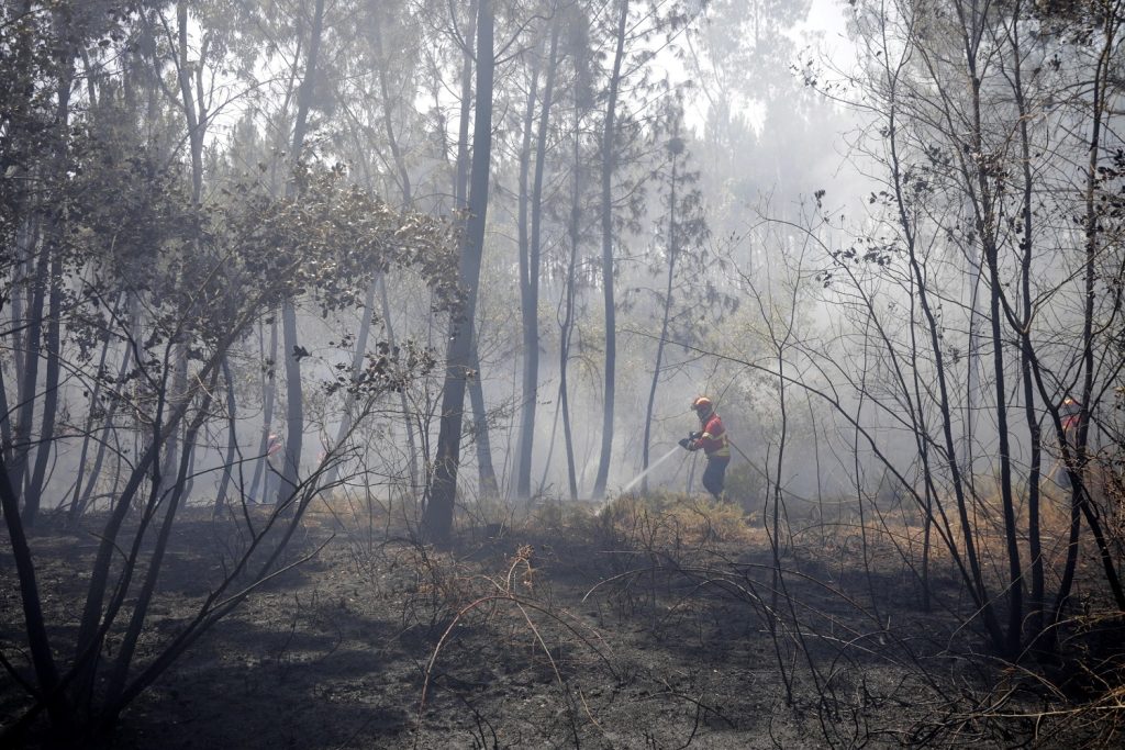 incendi portogallo
