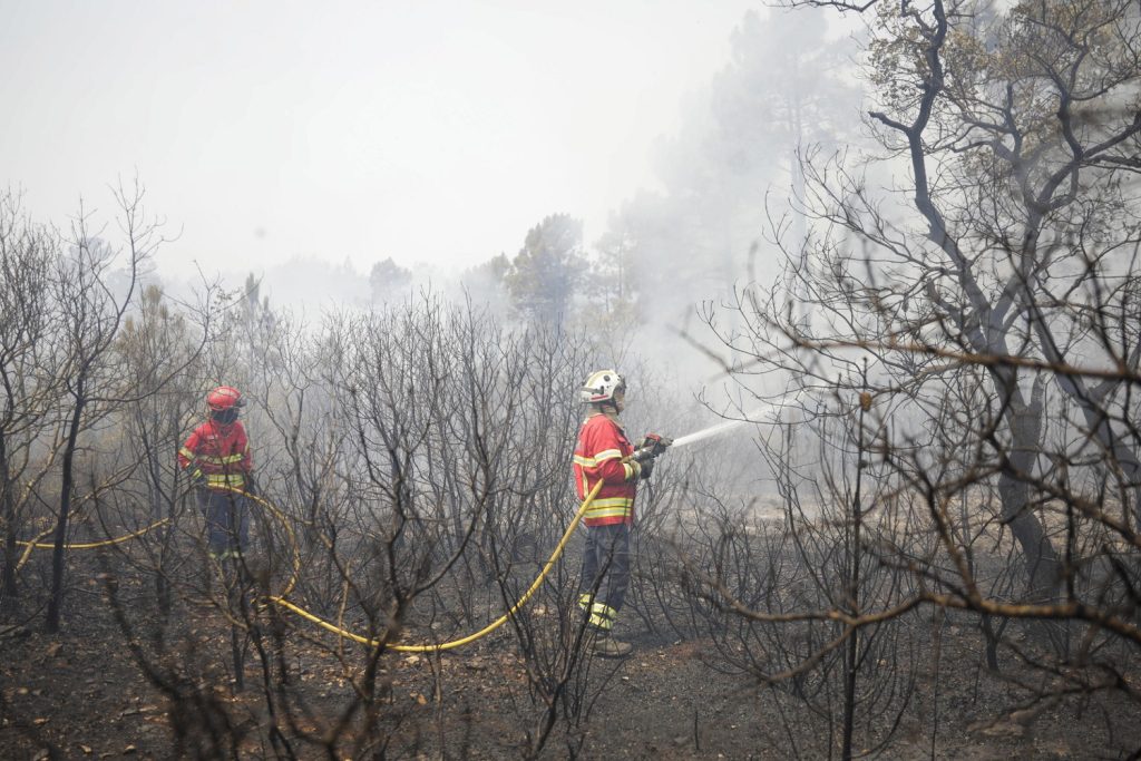 incendi portogallo