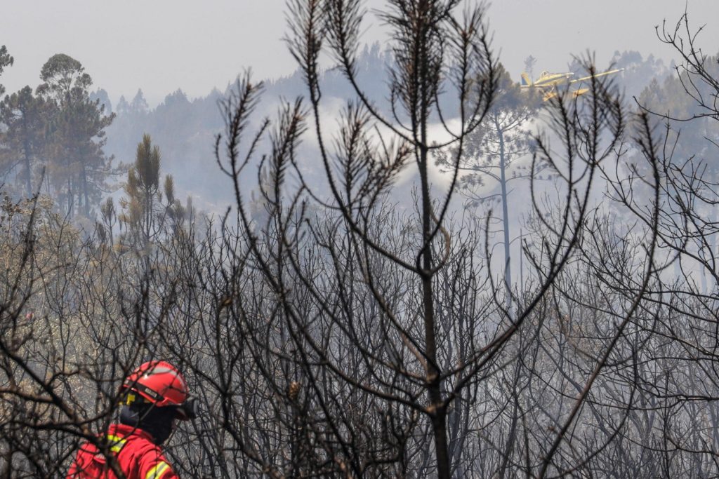 incendi portogallo
