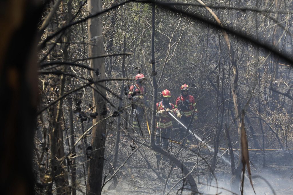 incendi portogallo