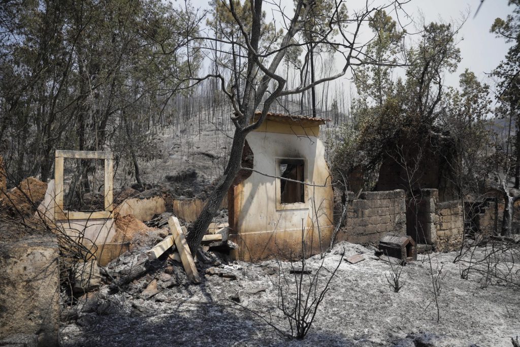 incendi portogallo