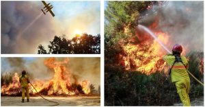 incendi portogallo