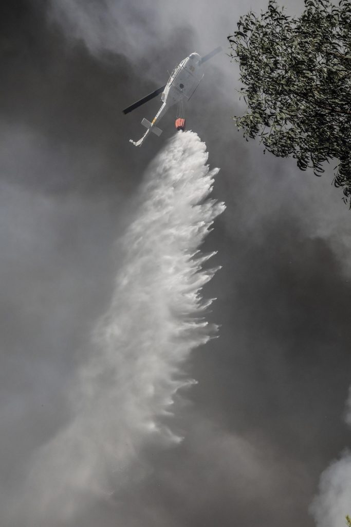 incendi portogallo