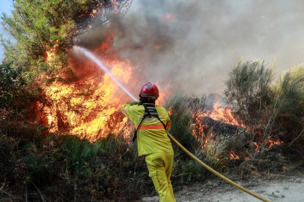 incendi portogallo