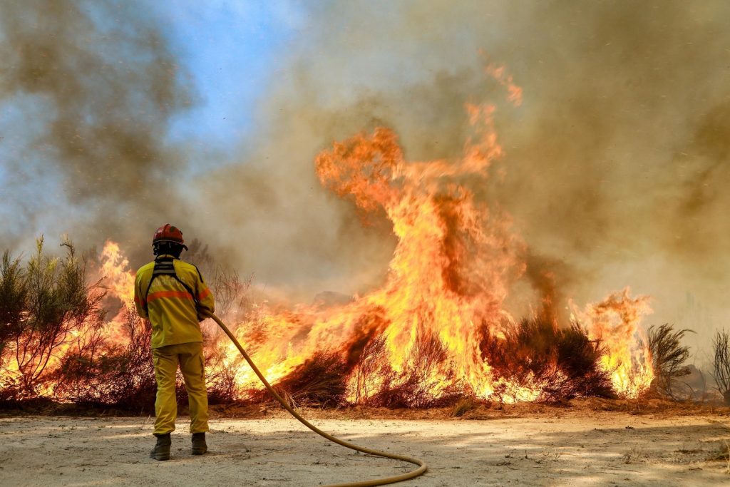 incendi portogallo