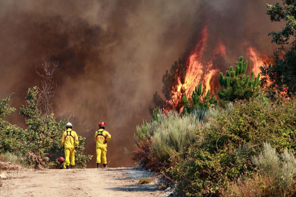 incendi portogallo