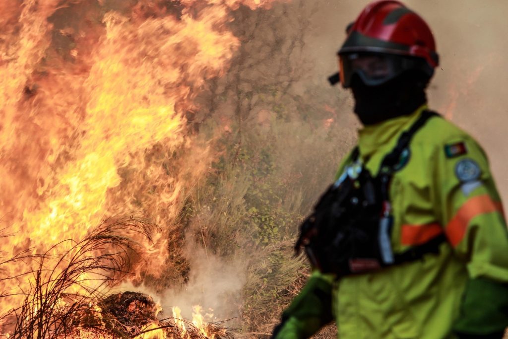 incendi portogallo